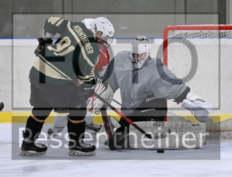 Reifnitz Trouts_4