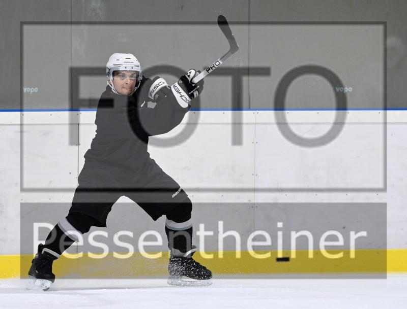 Reifnitz Trouts_8