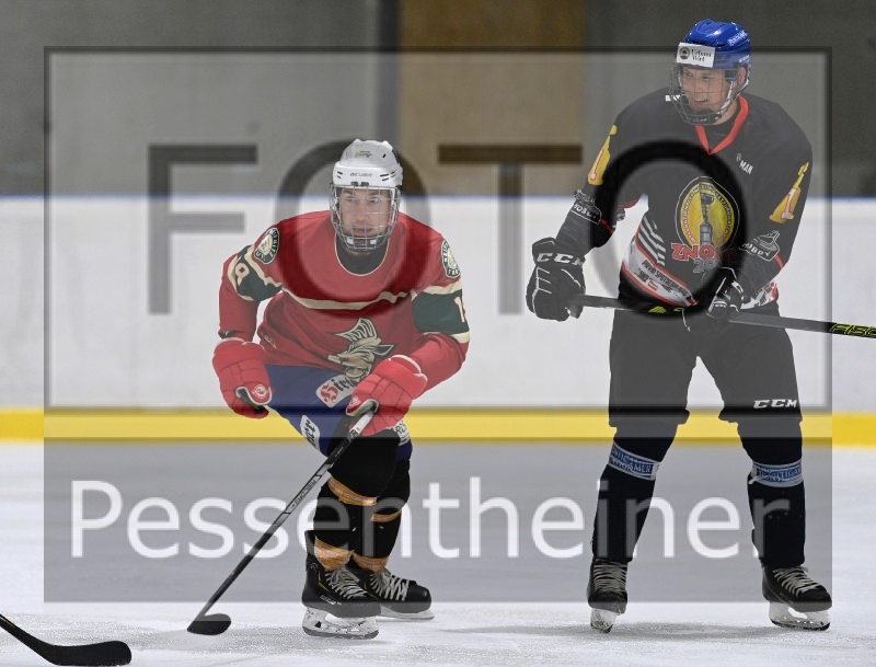 Reifnitz Trouts_10