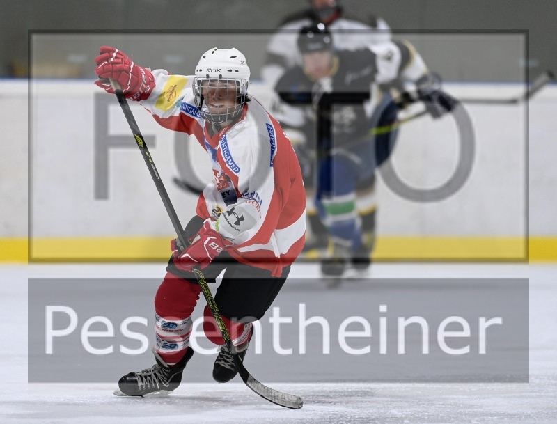 Reifnitz Trouts_12