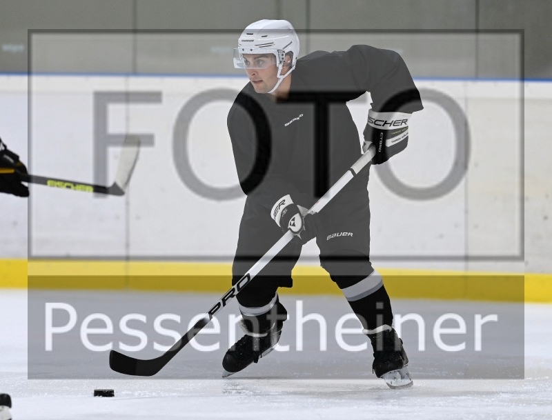 Reifnitz Trouts_13
