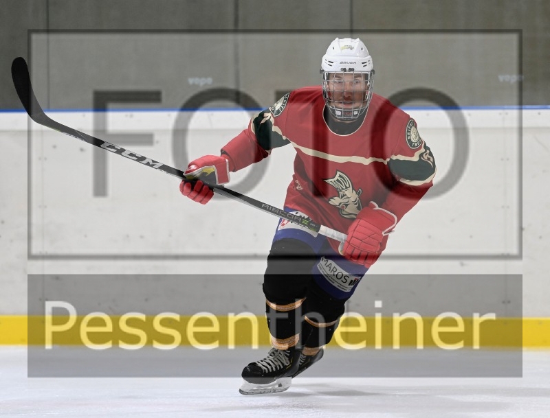 Reifnitz Trouts_17
