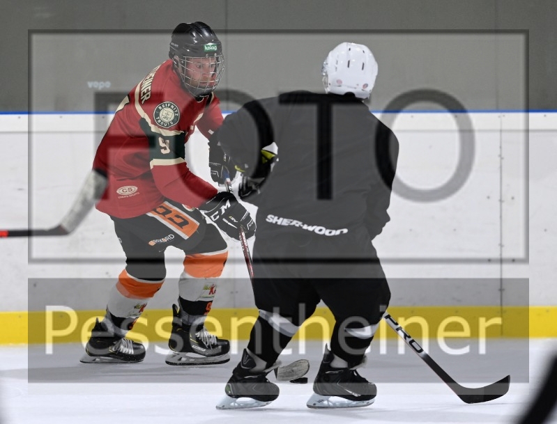 Reifnitz Trouts_20