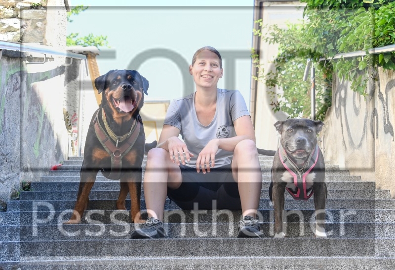 Pettrailer (06.06.2022)_4