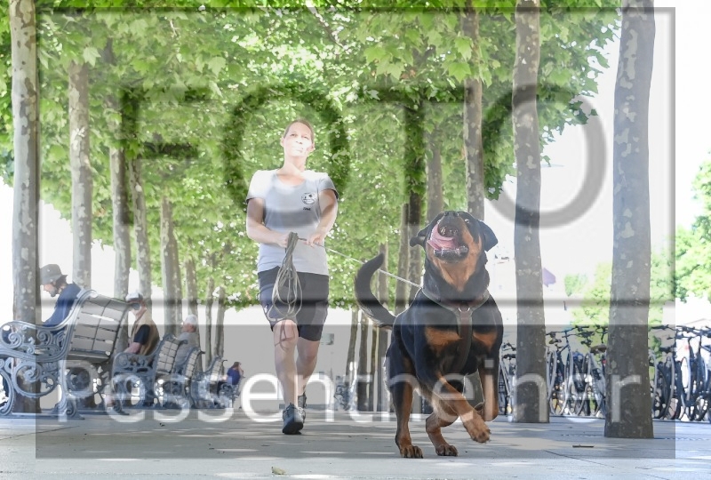 Pettrailer (06.06.2022)_8