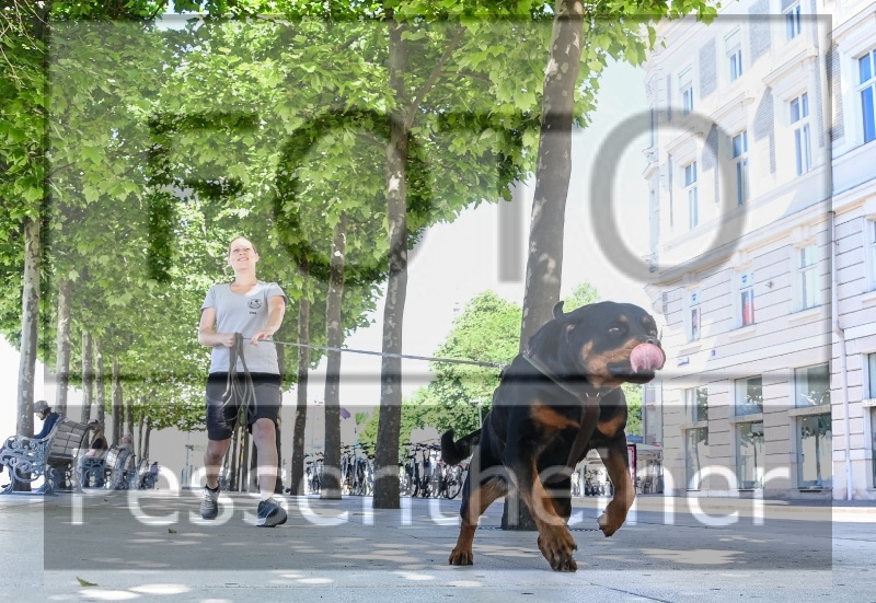 Pettrailer (06.06.2022)_9