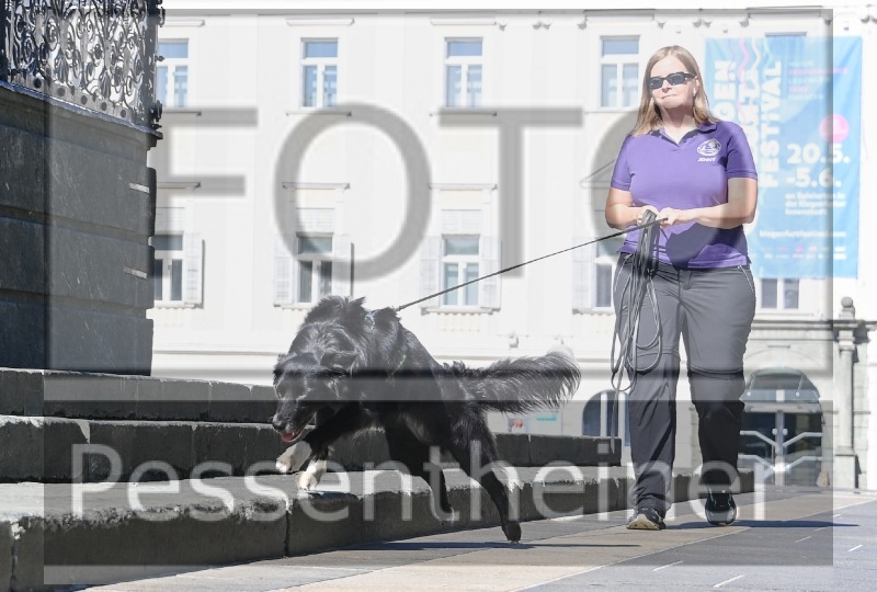 Pettrailer (06.06.2022)_12