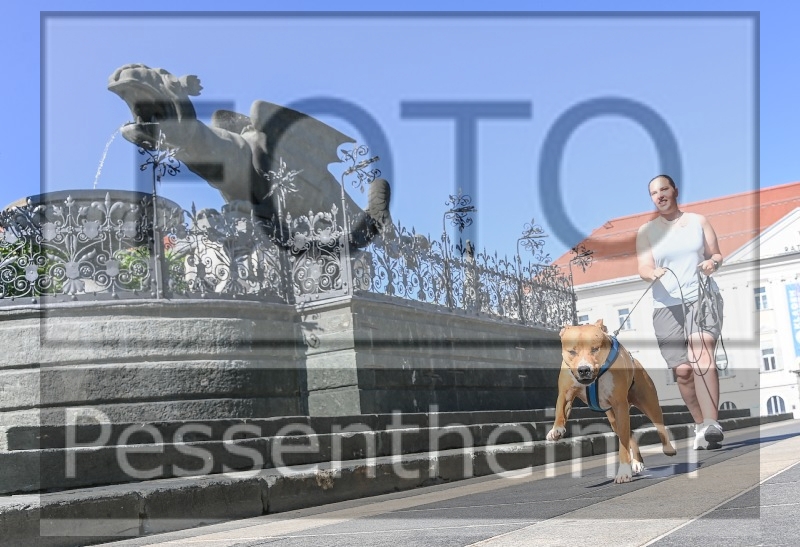 Pettrailer (06.06.2022)_2