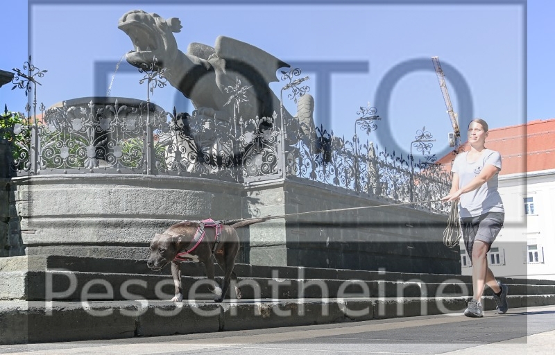 Pettrailer (06.06.2022)_6