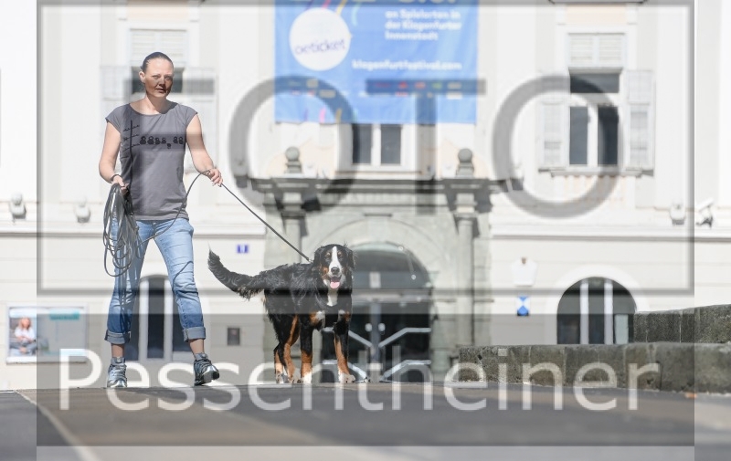 Pettrailer (06.06.2022)_11