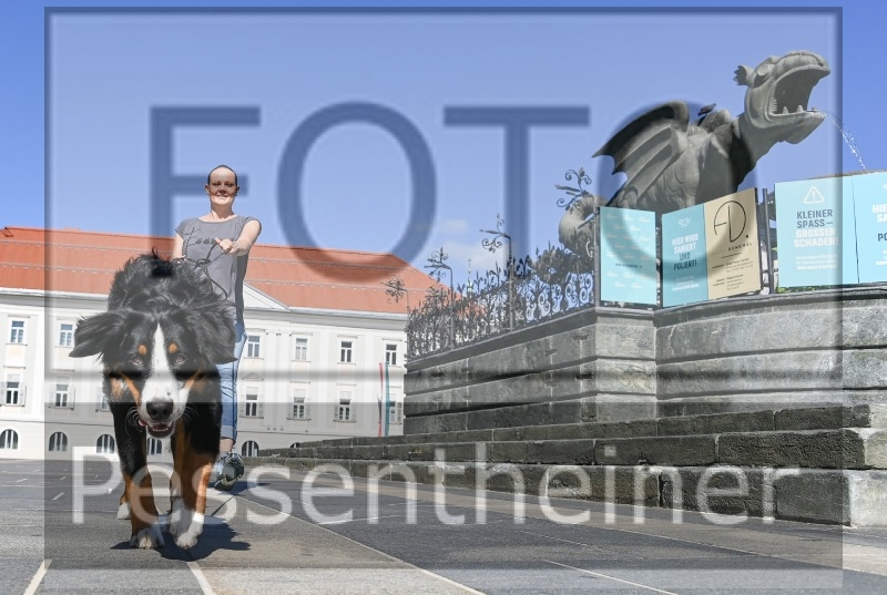 Pettrailer (06.06.2022)_12