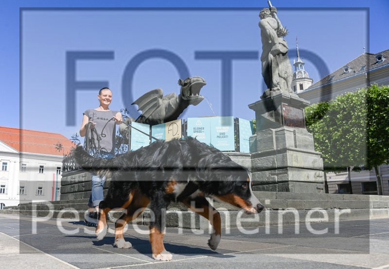 Pettrailer (06.06.2022)_13