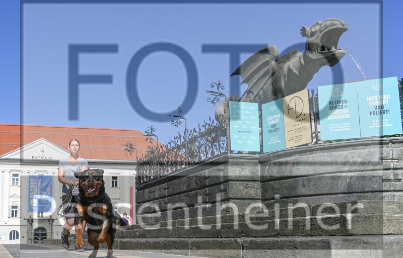 Pettrailer (06.06.2022)_14