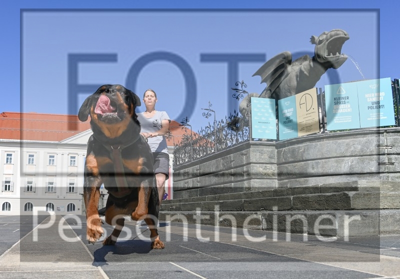 Pettrailer (06.06.2022)_2