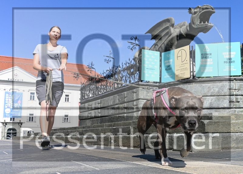 Pettrailer (06.06.2022)_6