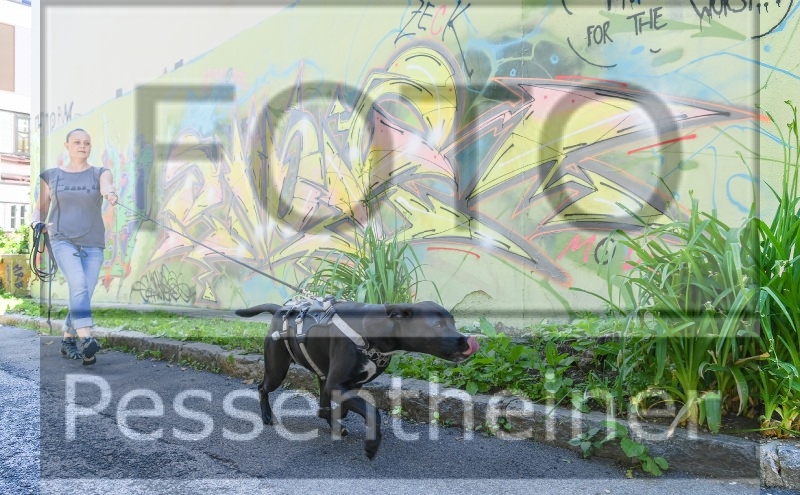 Pettrailer (06.06.2022)_8