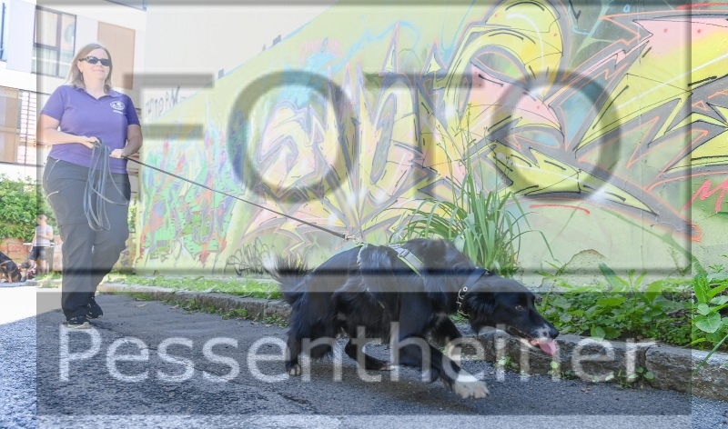 Pettrailer (06.06.2022)_10