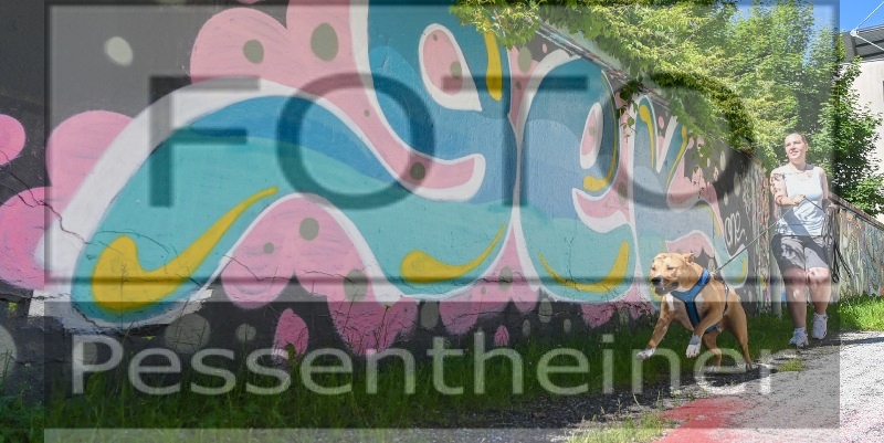 Pettrailer (06.06.2022)_1