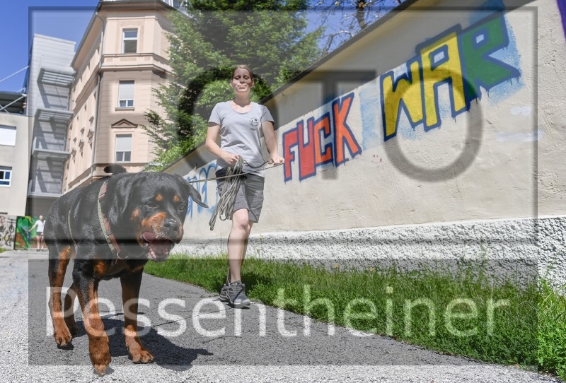 Pettrailer (06.06.2022)_5