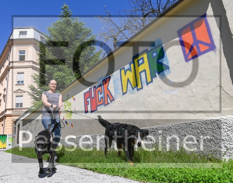 Pettrailer (06.06.2022)_6