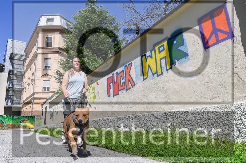 Pettrailer (06.06.2022)_7