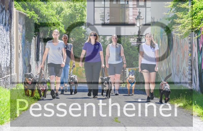 Pettrailer (06.06.2022)_8