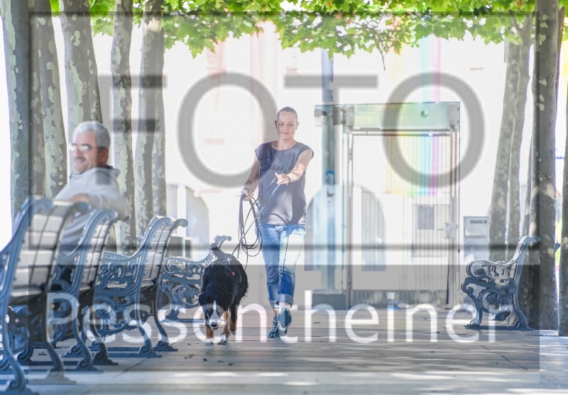 Pettrailer (06.06.2022)_11