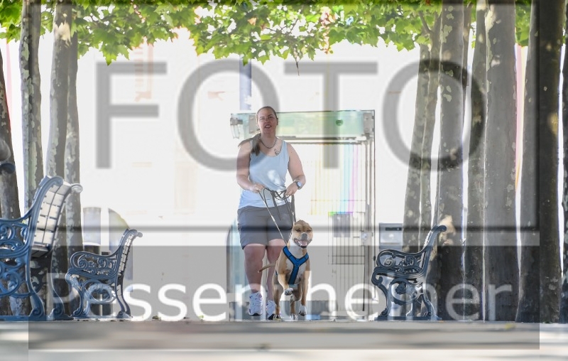 Pettrailer (06.06.2022)_2