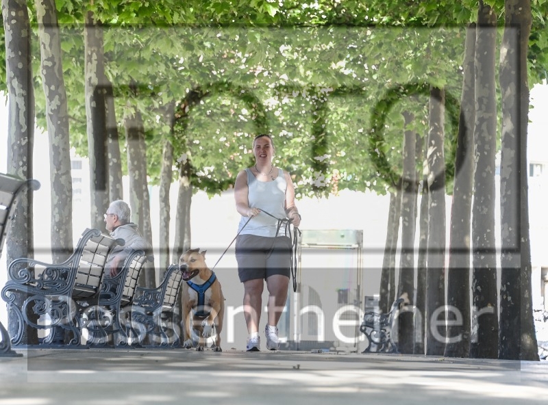 Pettrailer (06.06.2022)_3