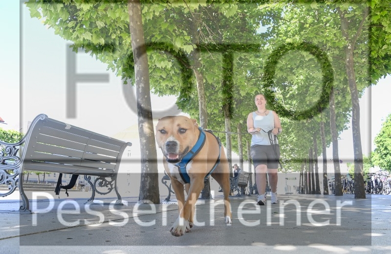 Pettrailer (06.06.2022)_4