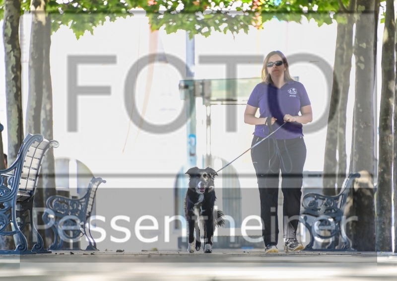 Pettrailer (06.06.2022)_7