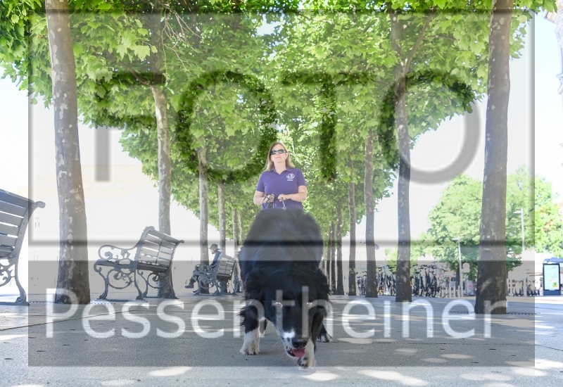 Pettrailer (06.06.2022)_10