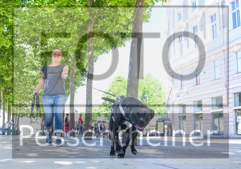 Pettrailer (06.06.2022)_12