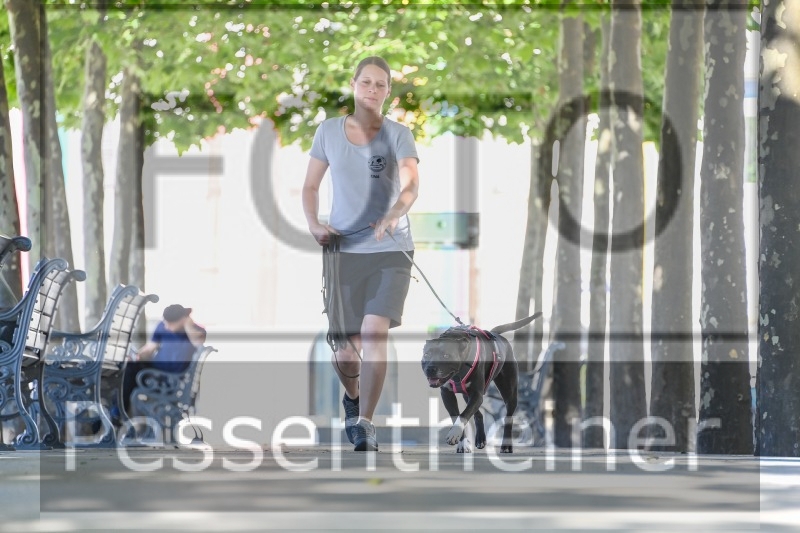 Pettrailer (06.06.2022)_14