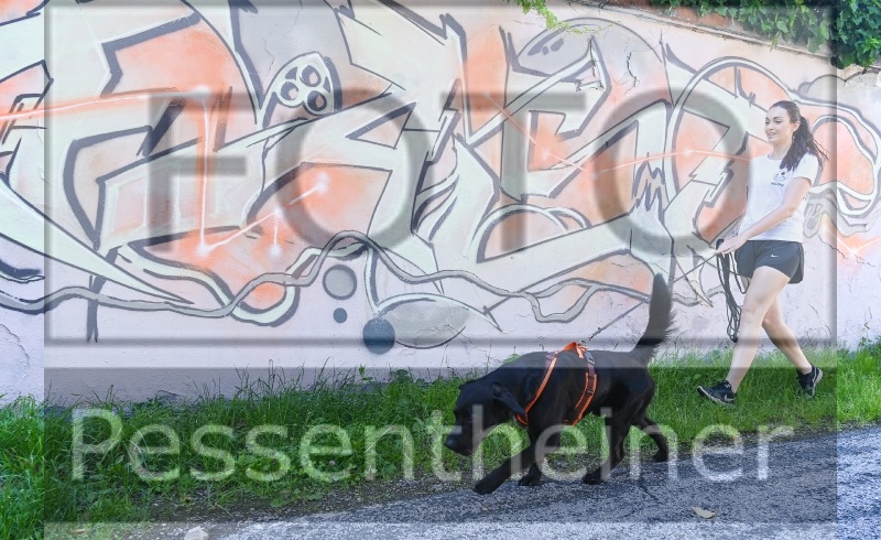 Pettrailer (06.06.2022)_1