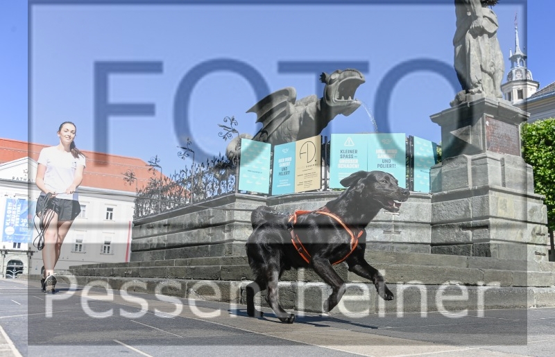 Pettrailer (06.06.2022)_3