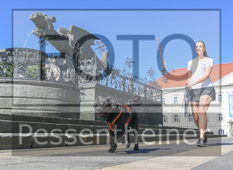 Pettrailer (06.06.2022)_4