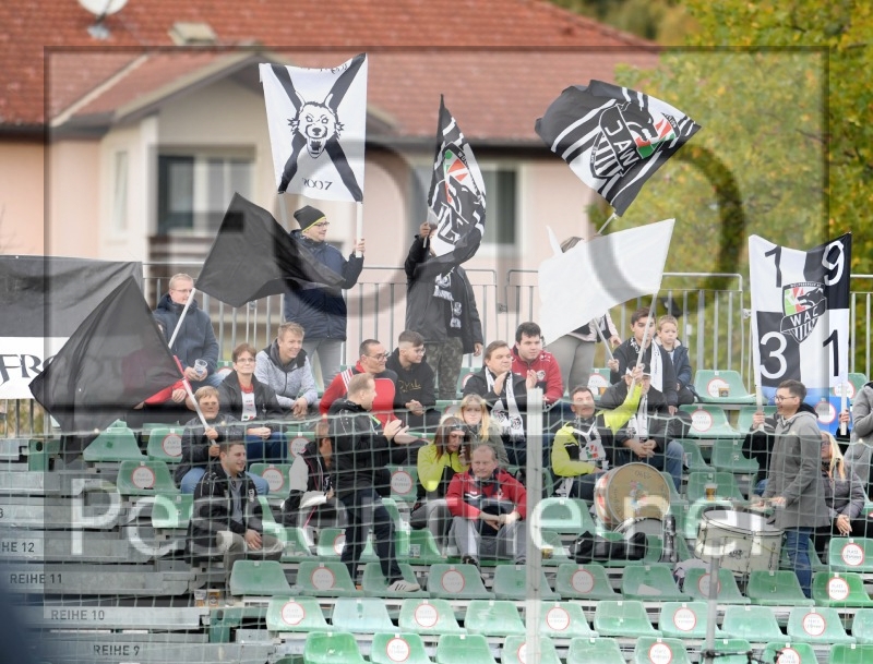 RZ Pellets WAC - SV Ried (18.10.2020)_8