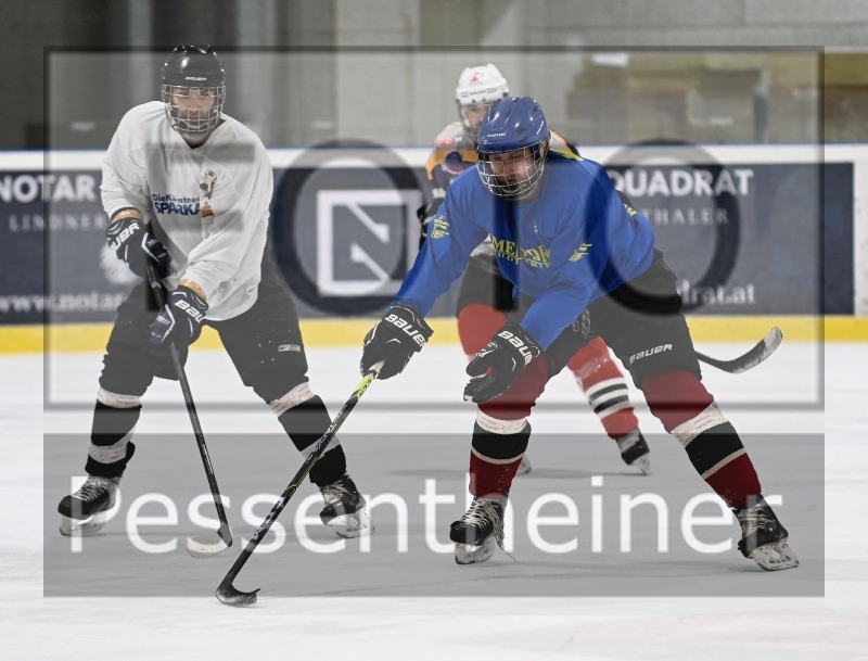 Trouts Training (08.11.2022)_15