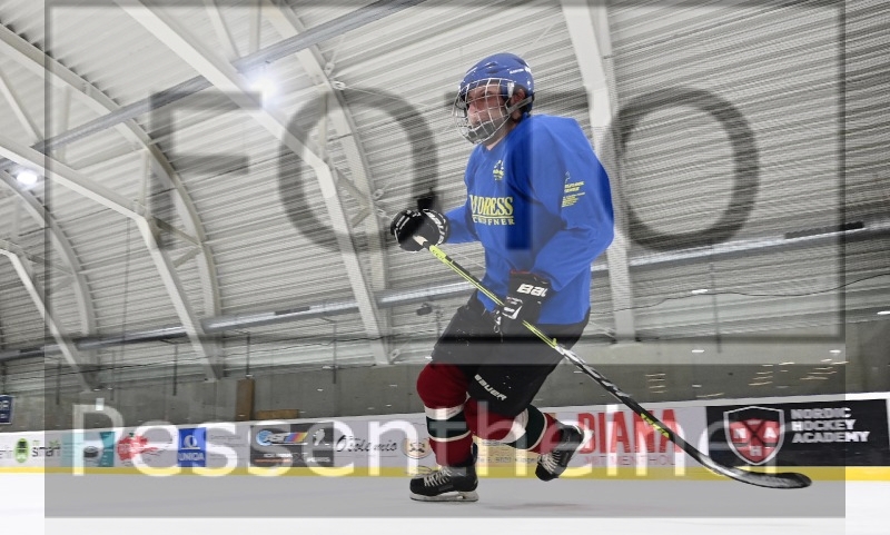 Trouts Training (08.11.2022)_1