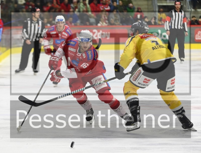 EC-KAC  HC Pustertal Wölfe (24.11.2023)_2