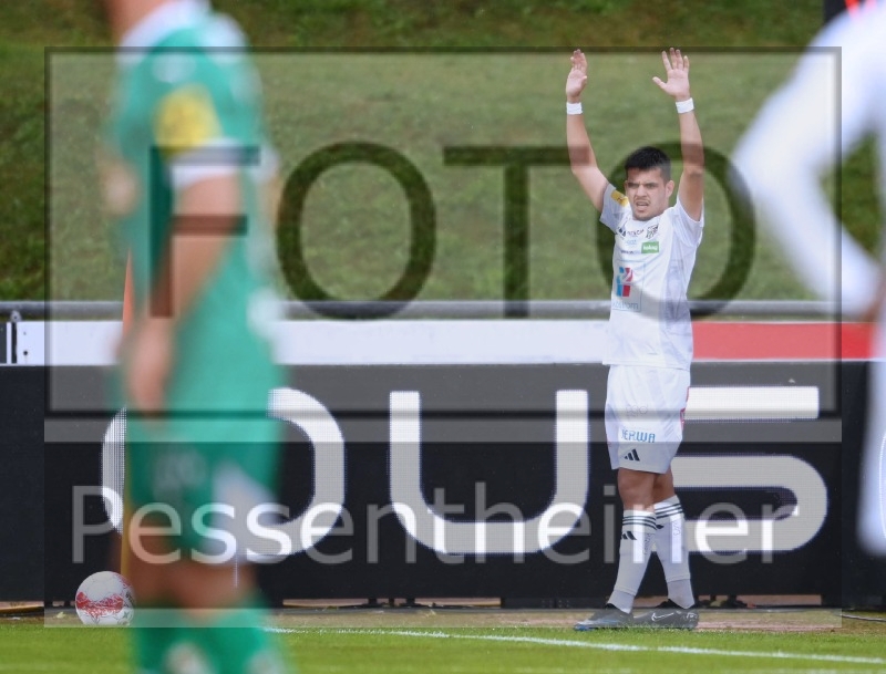 RZ Pellets WAC - SK Rapid Wien (14.09.2024)_16