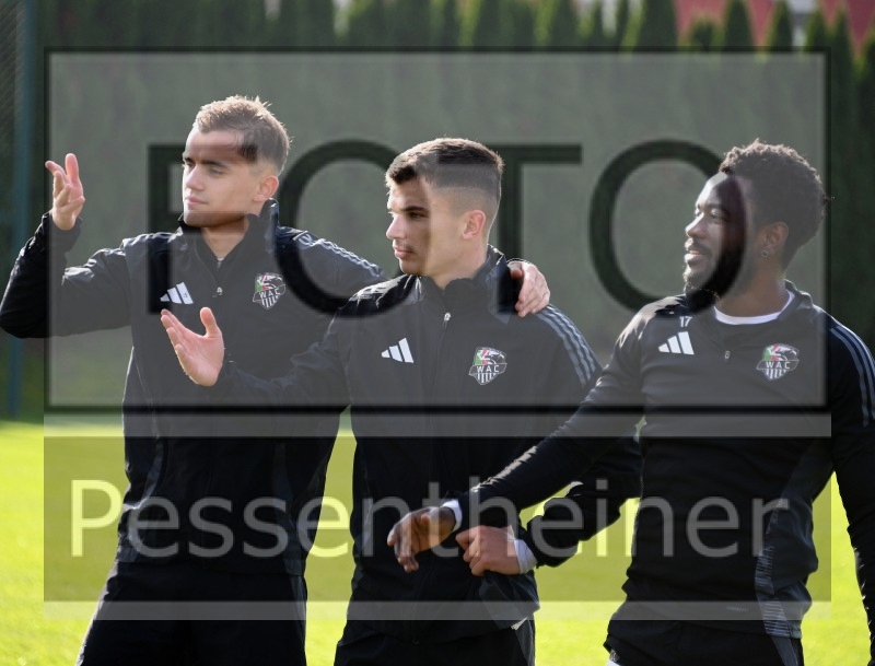 Training (15.11.2024)_3