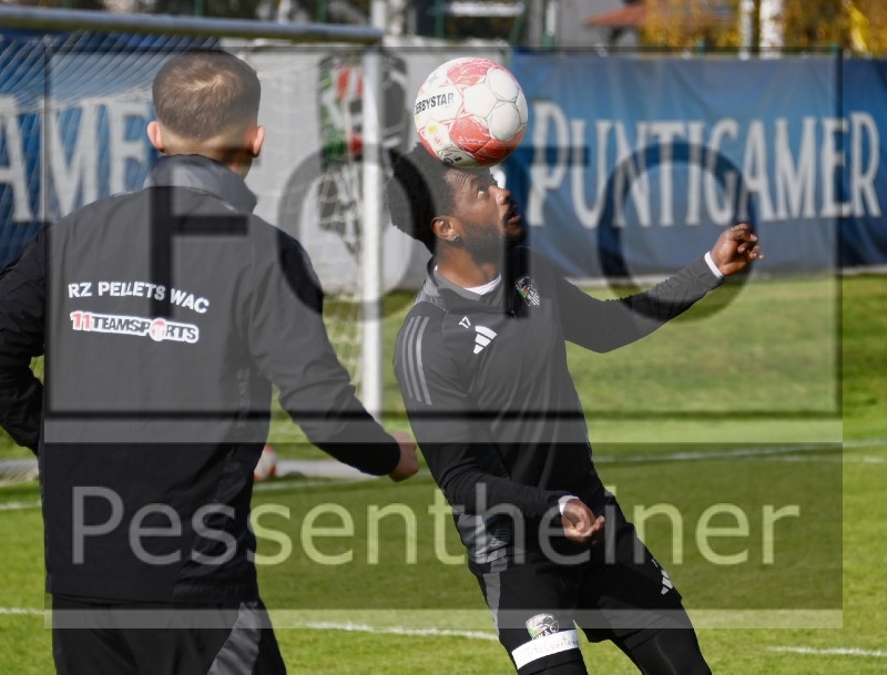 Training (15.11.2024)_11