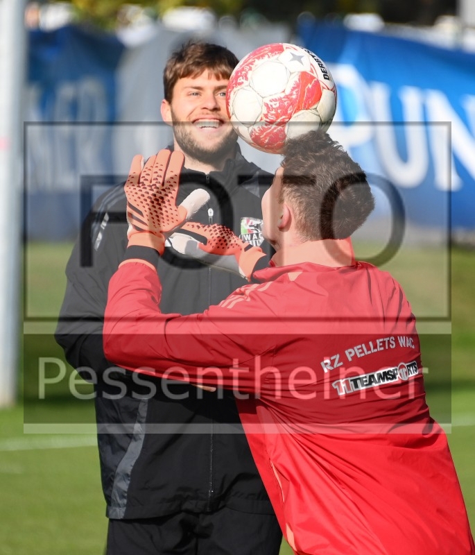 Training (15.11.2024)_3