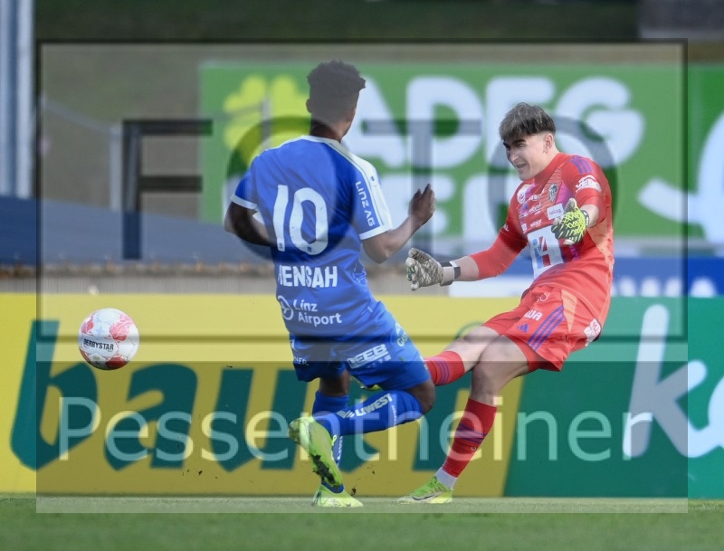 RZ Pellets WAC - Blau Weiß Linz (09.03.2025)_12