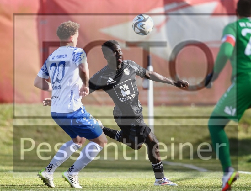 WAC Amateure - SK Treibach (22.03.2025)_16