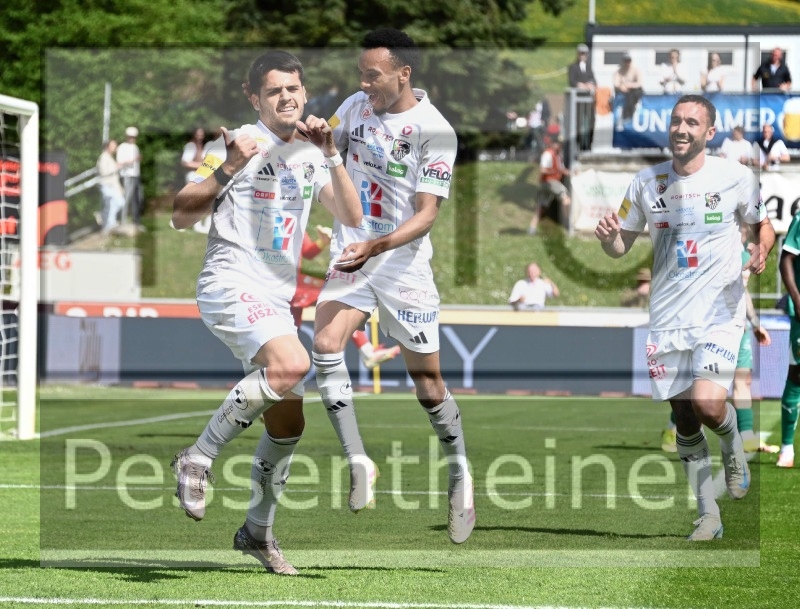 RZ Pellets WAC - SK Rapid Wien (20.04.2025)_32