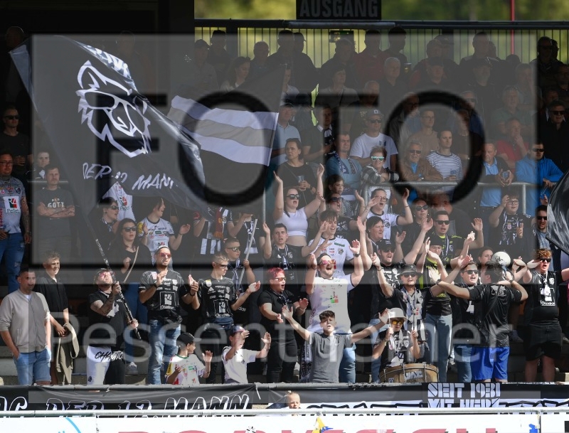 RZ Pellets WAC - SK Rapid Wien (20.04.2025)_43