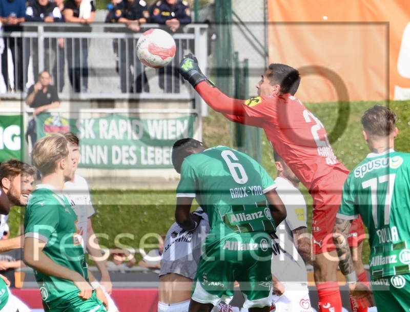 RZ Pellets WAC - SK Rapid Wien (20.04.2025)_16